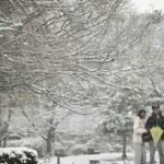 10-starker-schneefall-in-tokio-56b44df4c5717aea.jpg