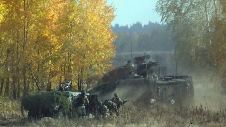 16-bundeswehrsoldaten-in-litauen-391fc44cd1503536.jpg