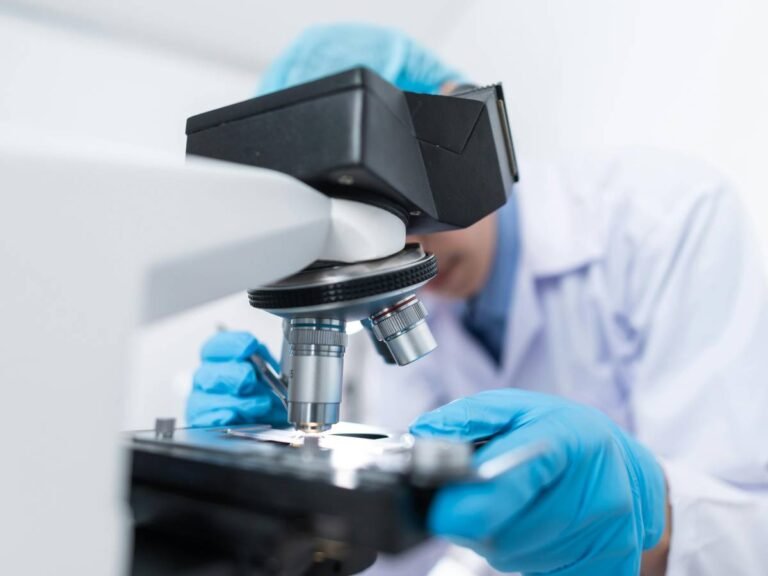 1731599587-ricerca-microscopio.jpg