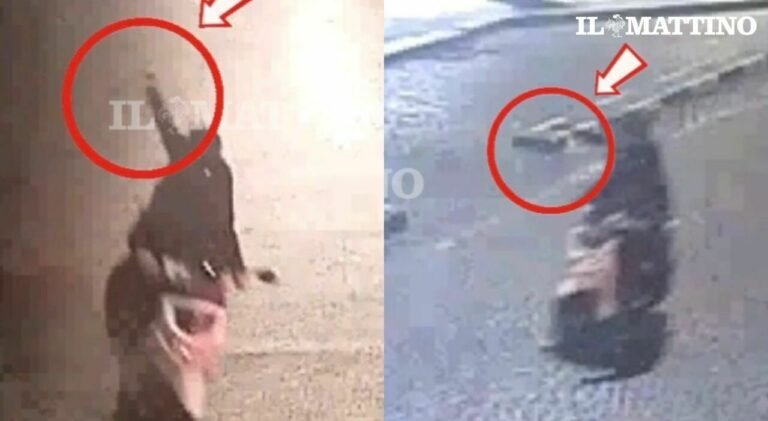 9341768_05234729_whatsapp_image_2026_02_05_at_22.58.42.jpg