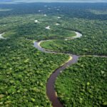Amazzonia-brasile-fiume-scaled.jpg