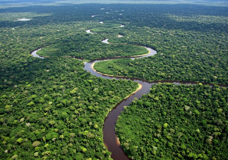 Amazzonia-brasile-fiume-scaled.jpg