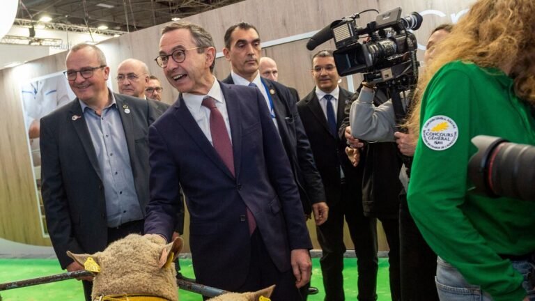 NBPVOKNALRDY7NGHZUUC37HSKM.jpg