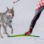 Olympia-Olympische-Winterspiele-Mailand-Cortina-2026-Ski-nordisch-Langlauf-Team-Sprint-Freistil-Frau.jpeg