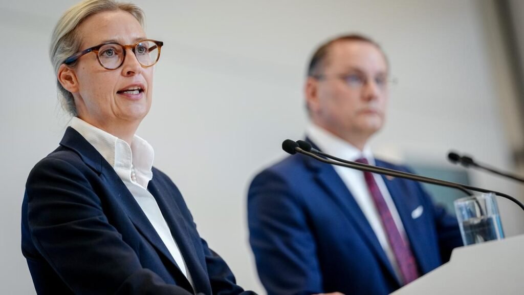 afd-weidel-chrupalla-statement-1001280x720.jpeg