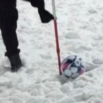 bb8786c2-2a0c-4c1d-81c2-065da6bb20f9_w520_r2.08_fpx50.93_fpy70.jpg