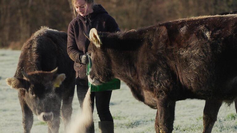 biobaeuerin-hunsrueck-1001280x720.jpeg
