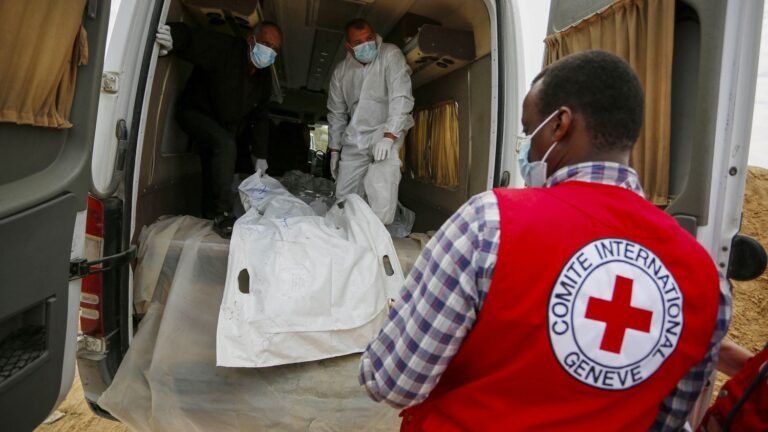 corps-gaza-69865e9e4303e169514857.jpg