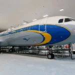 der-lufthansa-airbus-a321-200-mit-sonderlackierung-der-flieger-musste-aufgrund-der-witterung-auf-ein.webp