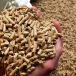 german-pellets-war-nach-eigenen-angaben-einst-weltmarktfuehrer-bei-herstellung-und-vertrieb-von-holz.webp