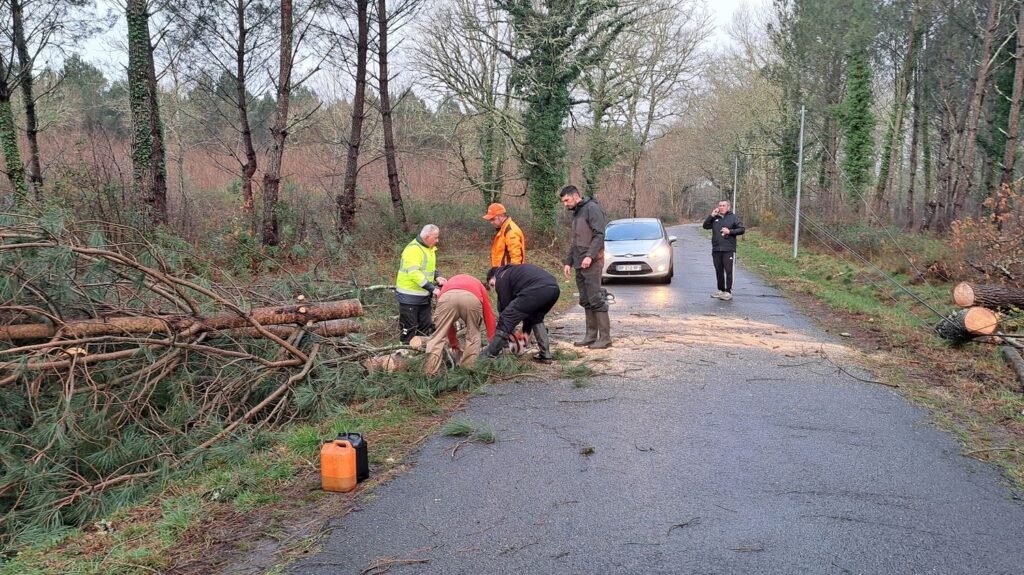 habitants-en-train-de-degager-la-route-apres-le-passage-de-la-tempete-nils-dans-les-landes-commune-d.jpeg