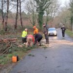 habitants-en-train-de-degager-la-route-apres-le-passage-de-la-tempete-nils-dans-les-landes-commune-d.jpeg