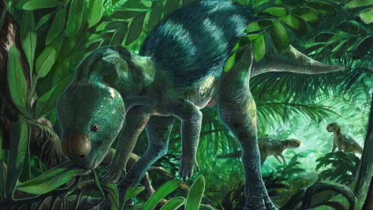 mini-dinosauriers-foskeia-pelendonum-1001280x720.jpeg