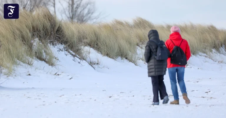 ostssekueste-in-schleswig.webp.webp