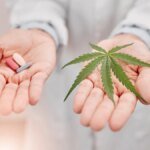 tabletten-und-ein-cannabis-blatt-cannabis-praeparate-schmerzmittel-oder-placebo-was-wirkt-besser.jpg