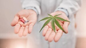 tabletten-und-ein-cannabis-blatt-cannabis-praeparate-schmerzmittel-oder-placebo-was-wirkt-besser.jpg
