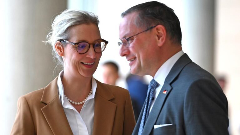 weidel-chrupalla-136.jpg