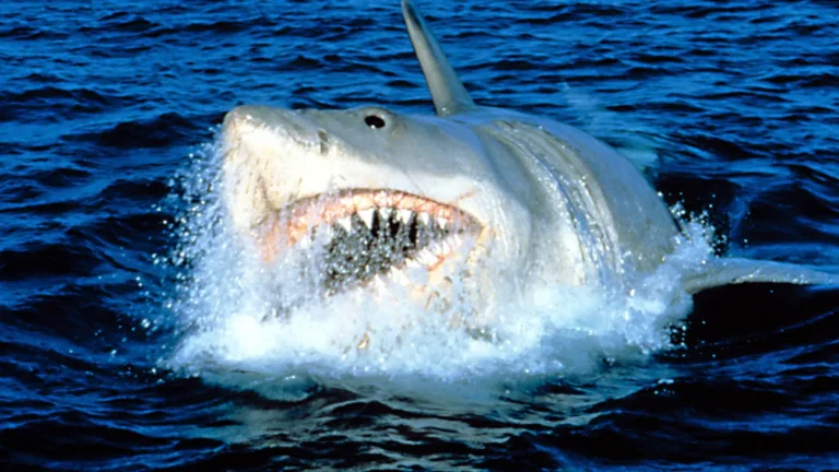 1772392985_wide__1300x731.webp