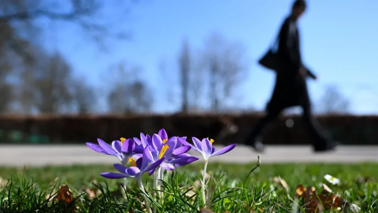 1772691605_wide__1300x731.webp