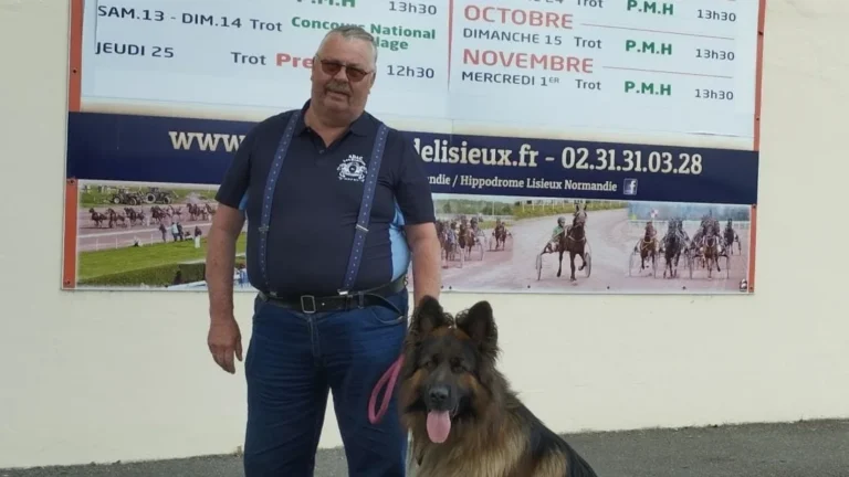 93d6b88c3281ed59127ede5b88ac66ba6d8605b2.webp