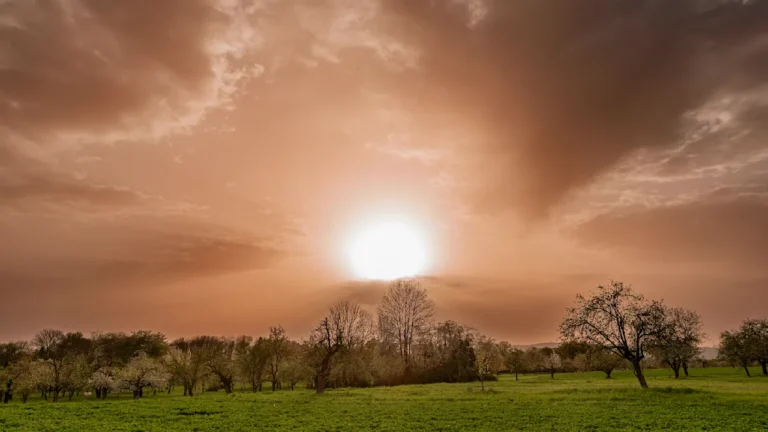 9420dce3f496ec3e33ff4b7a3f69dc6c-landscape10d80d71.webp