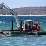 Ein-Schwimmbagger-arbeitet-an-einem-gestrandeten-Wal-in-der-Ostsee-Experten-versuchen-erneut-den-vor.jpeg
