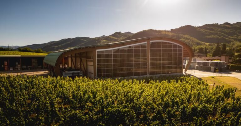 Poderi20dal20Nespoli-U55600766787rHI-1440x752@IlSole24Ore-Web.jpg