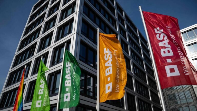 basf-flaggen-logo-berlin-1001280x720.jpeg