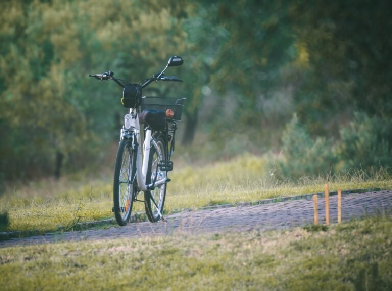 bicycle-gecdcce313_1920.jpg