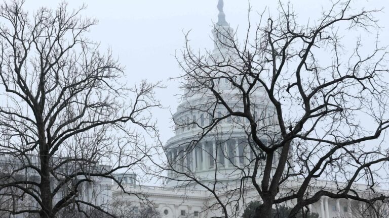 capitol-142.jpg