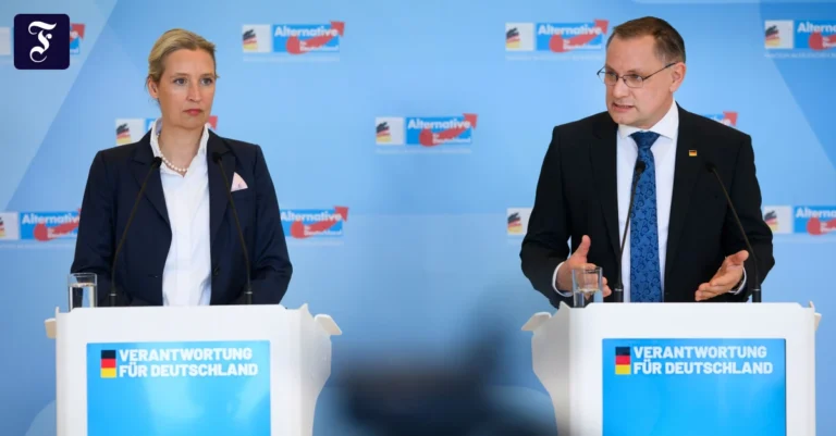 die-afd-fraktionsvorsitzenden.webp.webp