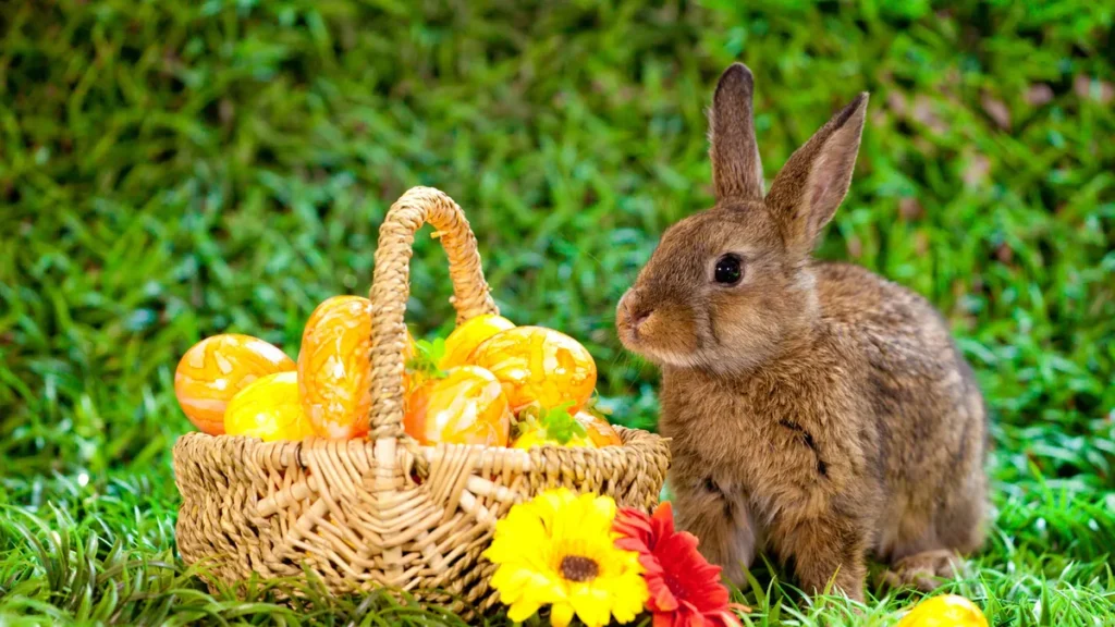 ein-hase-neben-einem-osterkorb-der-osterhase-der-die-eier-versteckt-gehoert-als-brauch-zum-osterfest.webp