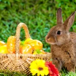 ein-hase-neben-einem-osterkorb-der-osterhase-der-die-eier-versteckt-gehoert-als-brauch-zum-osterfest.webp