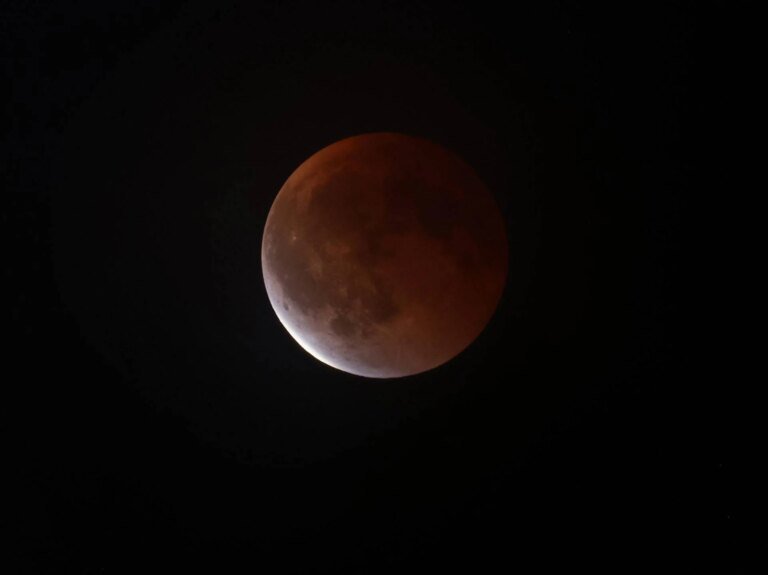 luna_rossa_fg_ipa.jpeg