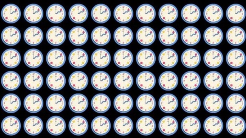 profi-suchbild.jpg