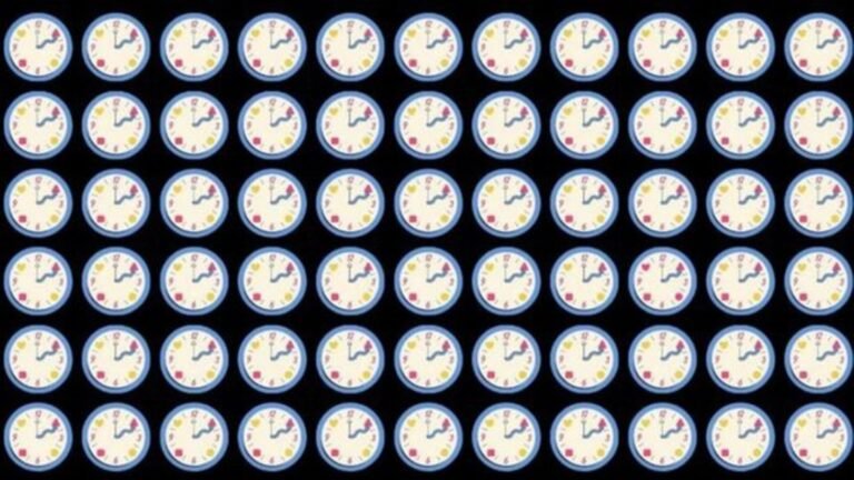 profi-suchbild.jpg