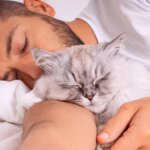 schlafgewohnheit-viele-katzen-breiten-sich-gerne-im-bett-aus.jpg