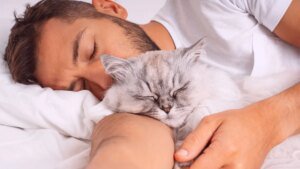 schlafgewohnheit-viele-katzen-breiten-sich-gerne-im-bett-aus.jpg
