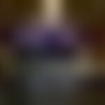172029777-24c01088-848f-4ae3-8538-4c68fccf6e4c.jpg