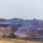 Ein-Getreidefeld-bei-Obernauendorf-geriet-wegen-anhaltender-Trockeheit-und-boeigen-Winden-in-Brand-d.jpeg