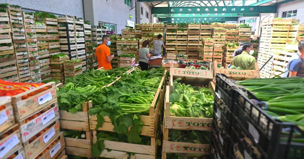 Imagoeconomica_1435248-U80376365255qrV-1440x752@IlSole24Ore-Web.jpg