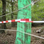 absperrband-im-hambacher-forst.webp.webp
