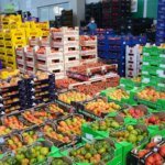 agroalimenare-imago-U04782040537dlF-1440x752@IlSole24Ore-Web.jpg