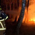 feuerwehrkraefte-beim-waldbrand-insgesamt-waren-am-dienstagabend-rund-130-retter-im-einsatz.jpg