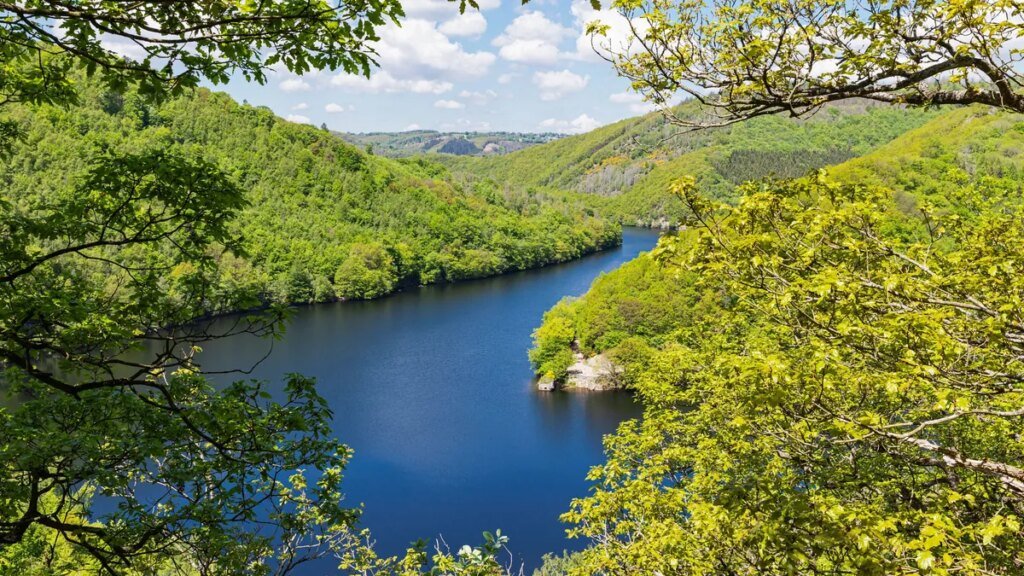 obersee-lake-amidst-green-hills-at-eifel-national-park-germany-gwf07531.jpg