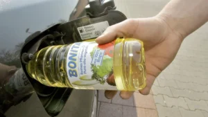 rapsoel-im-tank-so-manches-auto-laesst-sich-damit-tatsaechlich-fahren-ist-speiseoel-also-eine-guenst.webp