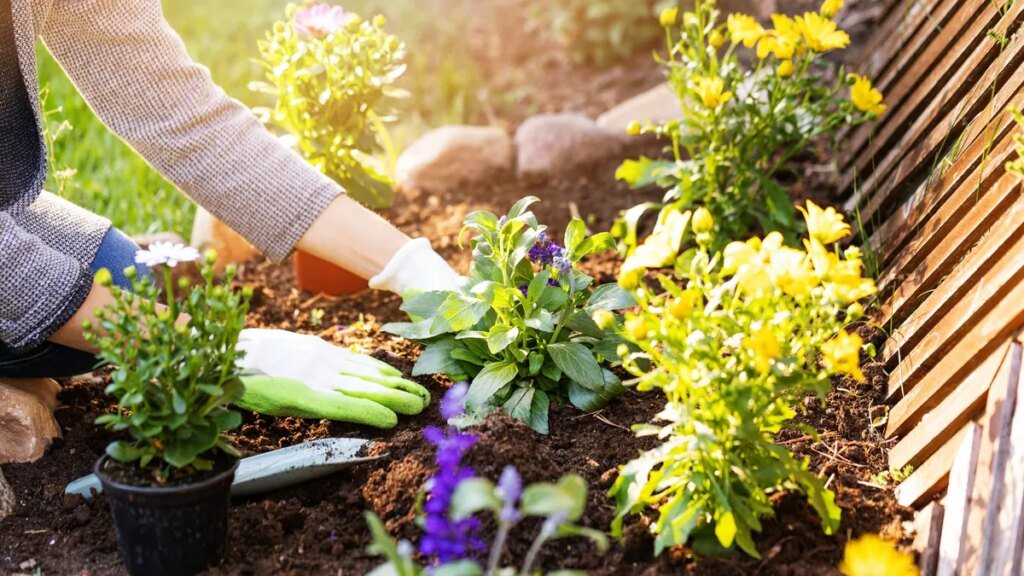 stauden-und-sommerblumen-der-april-ist-ein-guter-monat-um-frostunempfindliche-blumen-zu-pflanze.jpg