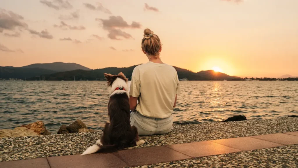 young-woman-with-a-border-collie-dog-meets-the-sunset-by-the-sea-rear-view-webp.webp