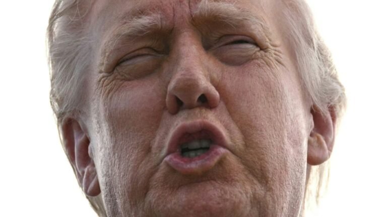 04-uspraesident-donald-trump-am-samstag-in-west-palm-beach-0c2d4d94259edf3e.jpg