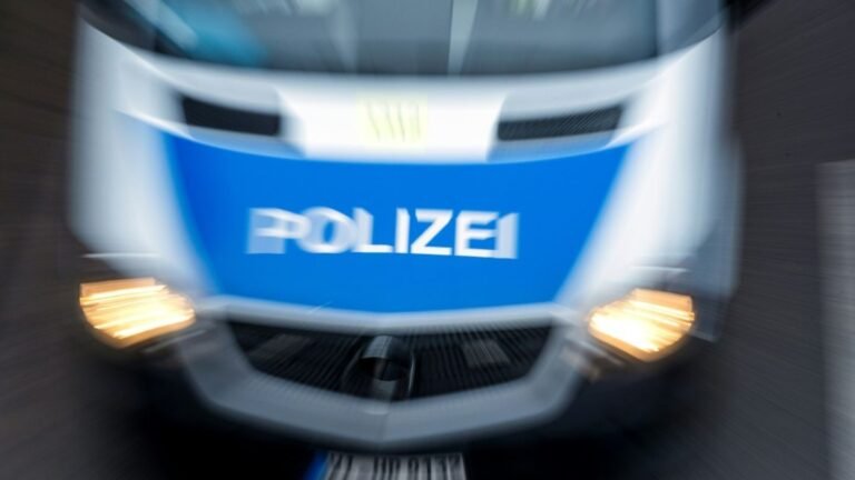 06-polizeifahrzeug-1e66354e17b538a6.jpg